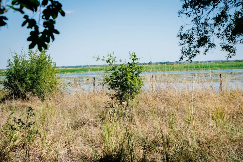 Kashete Plains Expedition & Campsite - Okavango Eastern Panhandle Luxury tent in Africa