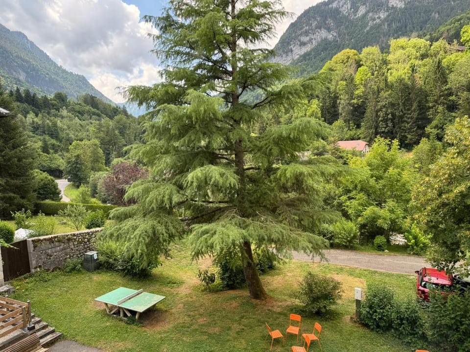 Garden, Garden, Garden view, Mountain view