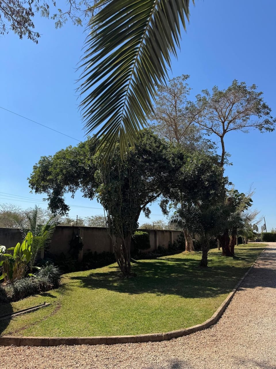 Natural landscape, Garden, Garden view