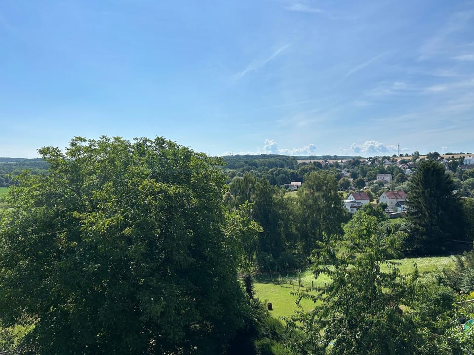 Fewo Leo Apartment in Saxony