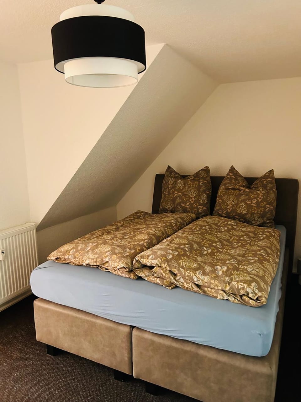 Fewo Leo Apartment in Saxony
