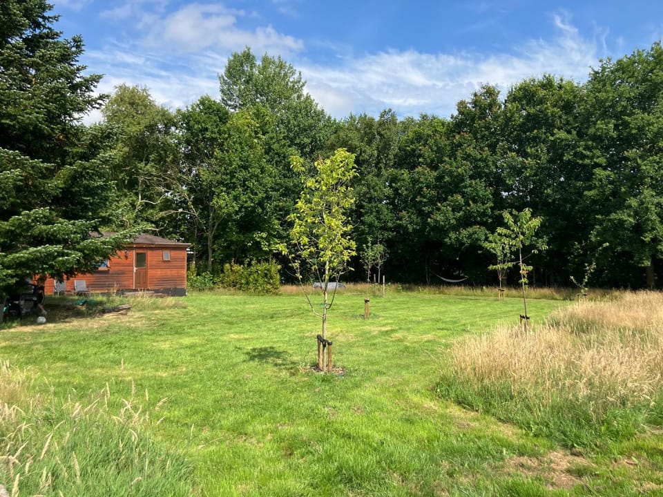 De Fruitgaard Chalet in Drenthe (province)