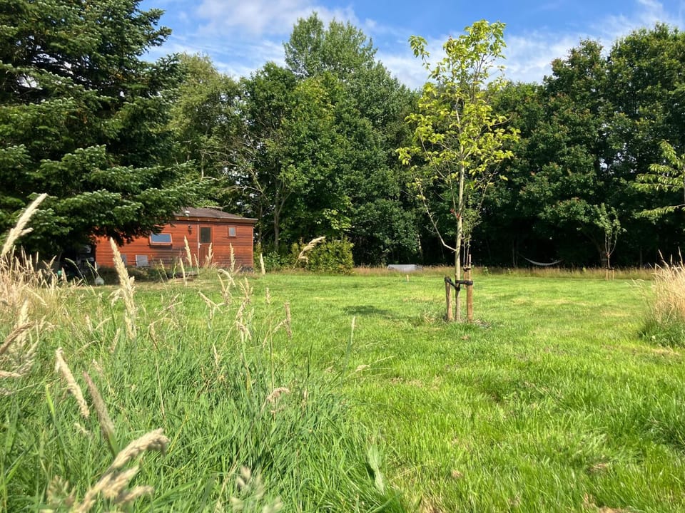 De Fruitgaard Chalet in Drenthe (province)