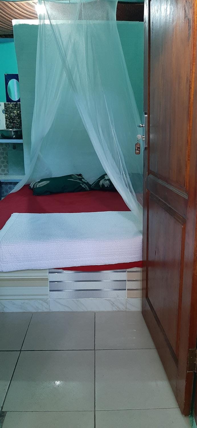 Dendi guest house & Orangutan Explore Hotel in Indonesia