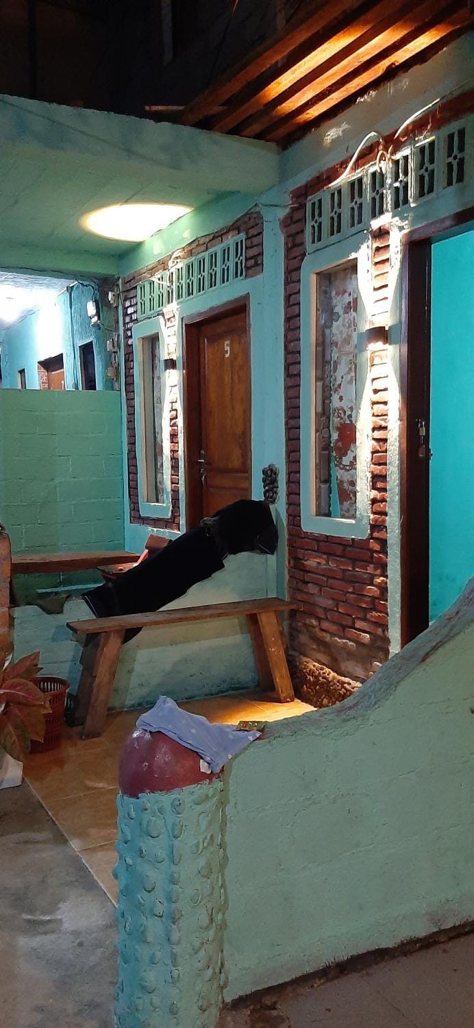 Dendi guest house & Orangutan Explore Hotel in Indonesia