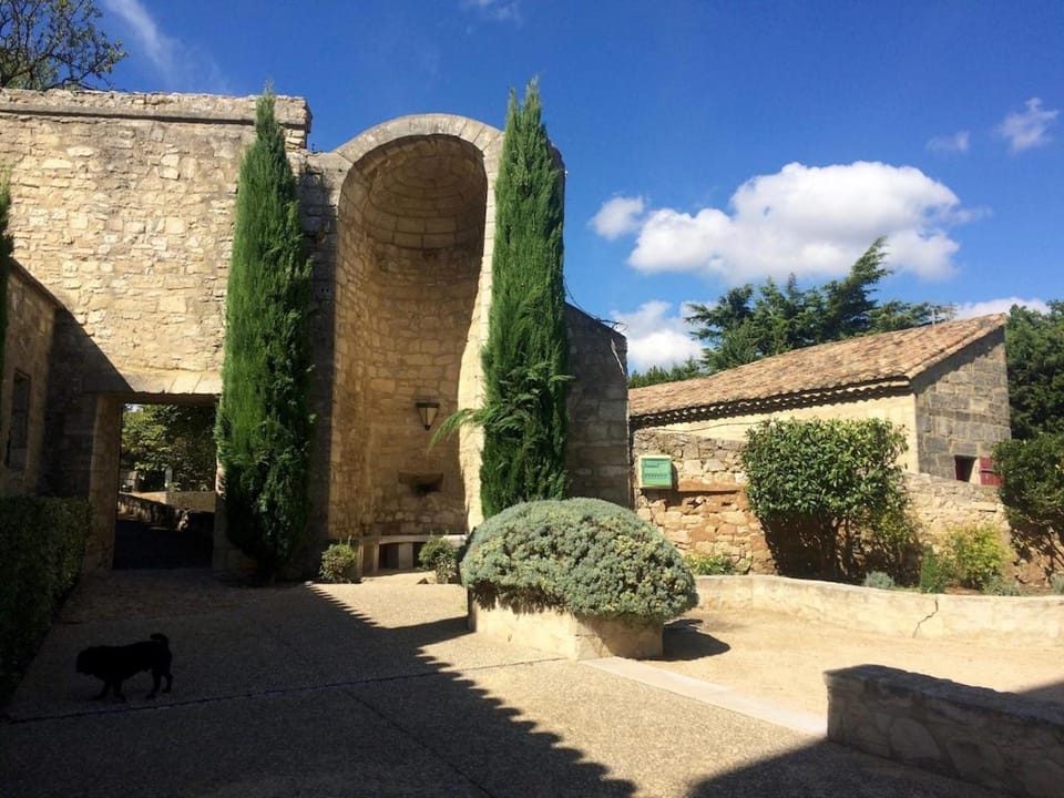 Atelier 24 Apartment in Avignon