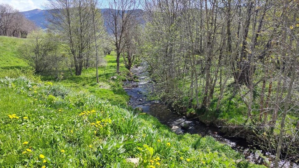 Natural landscape, Garden view, Mountain view