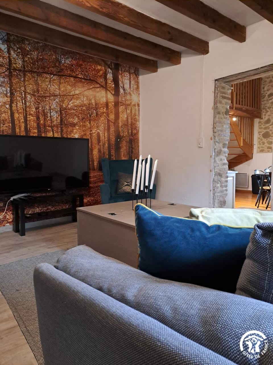 Gîte avec piscine et animaux Bed and Breakfast in Occitanie