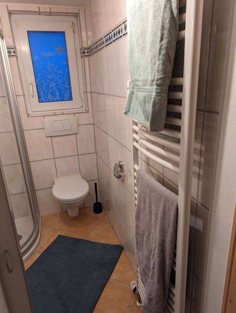 Toilet, Bathroom, towels