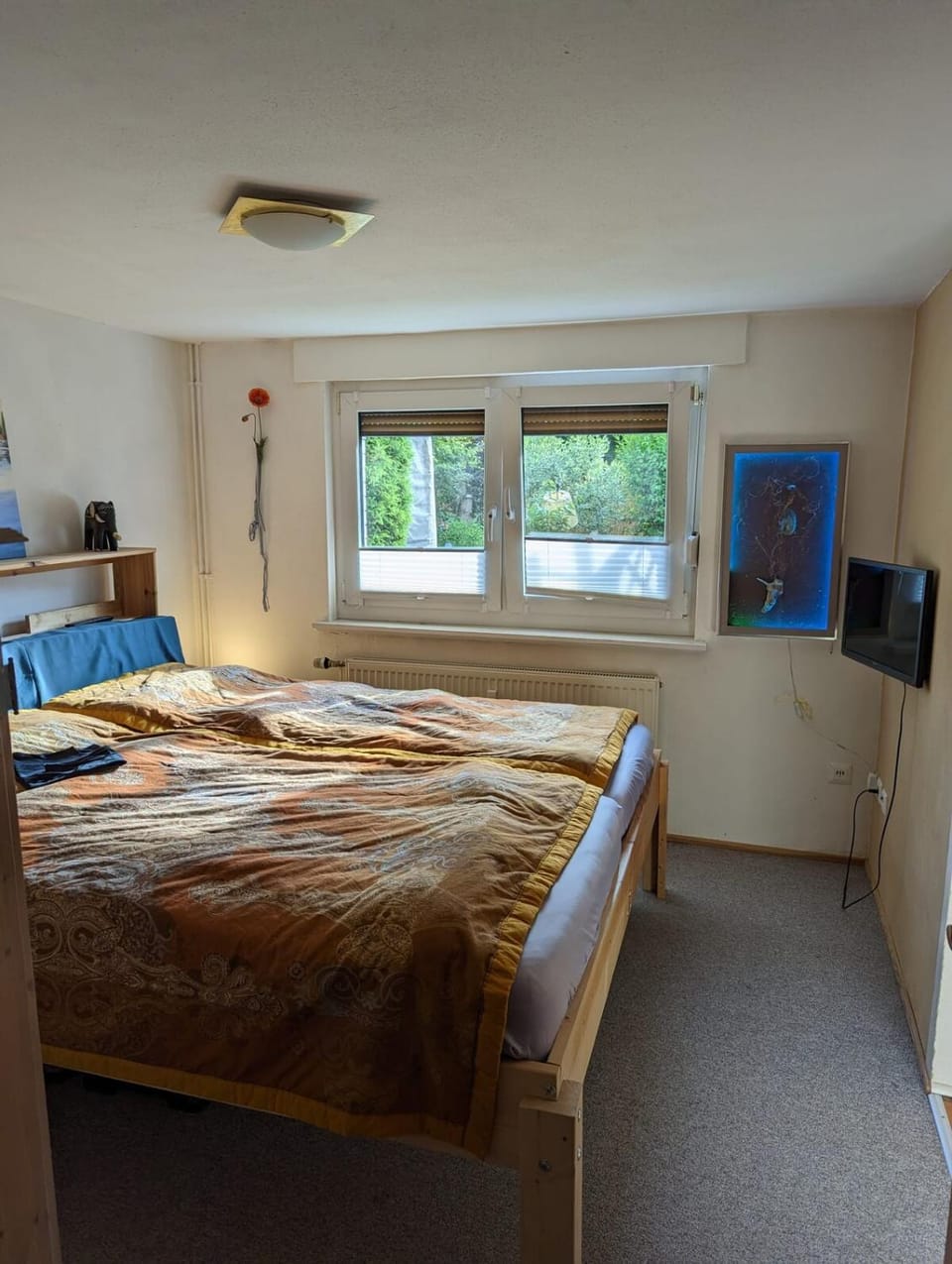 Bed, TV and multimedia, Photo of the whole room, Bedroom