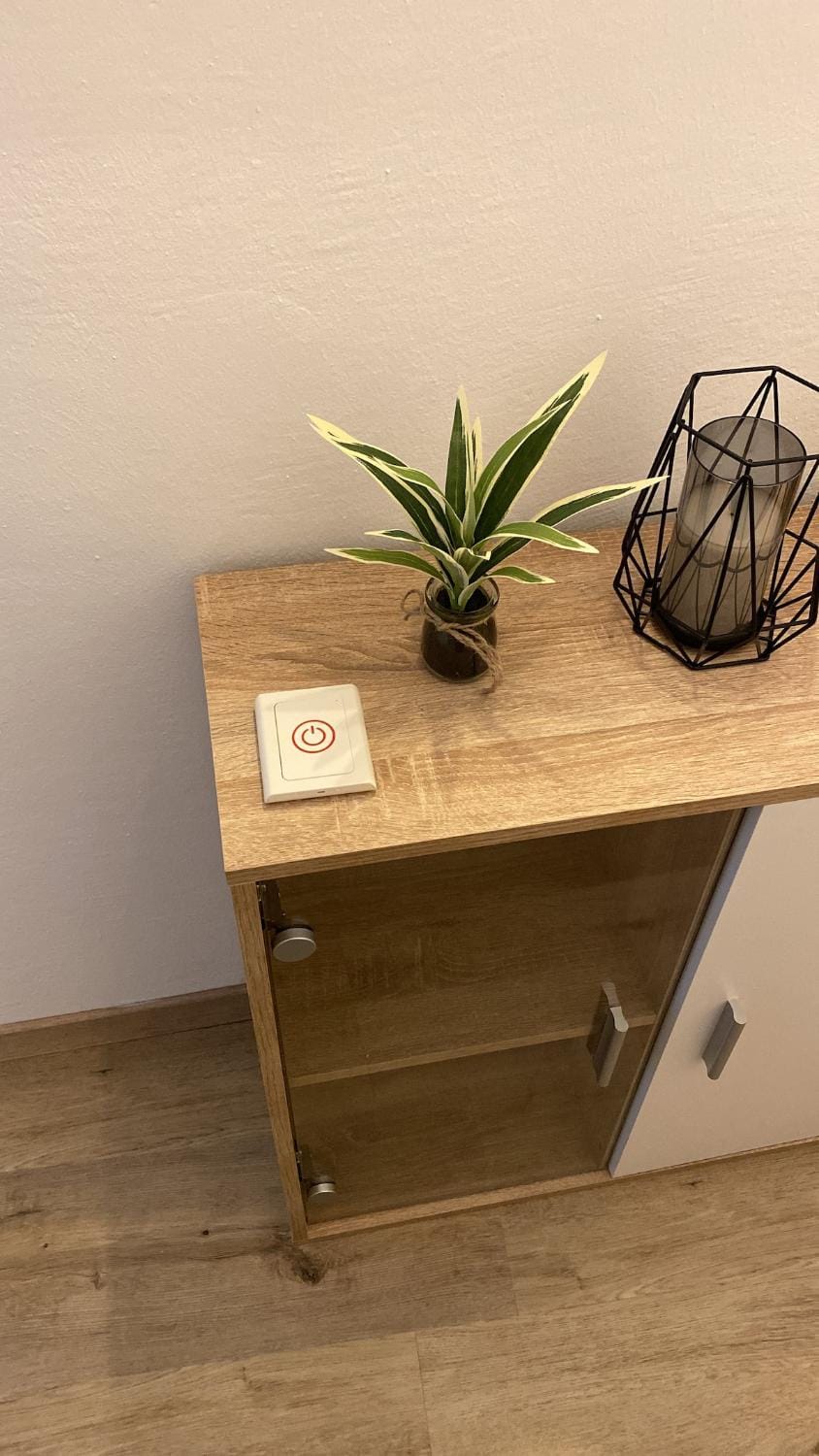 Ferienwohnung Linner Apartment in Salzburgerland
