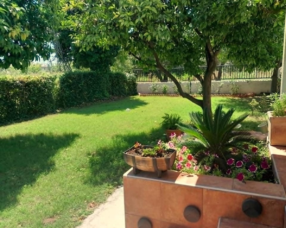 Garden view