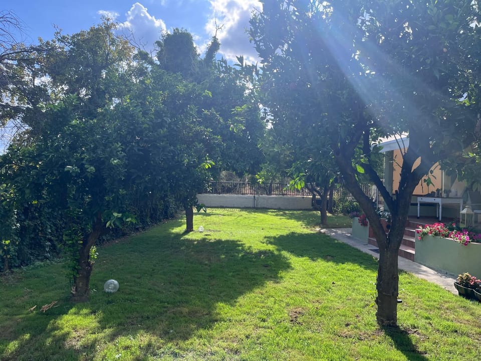 Day, Natural landscape, Garden view
