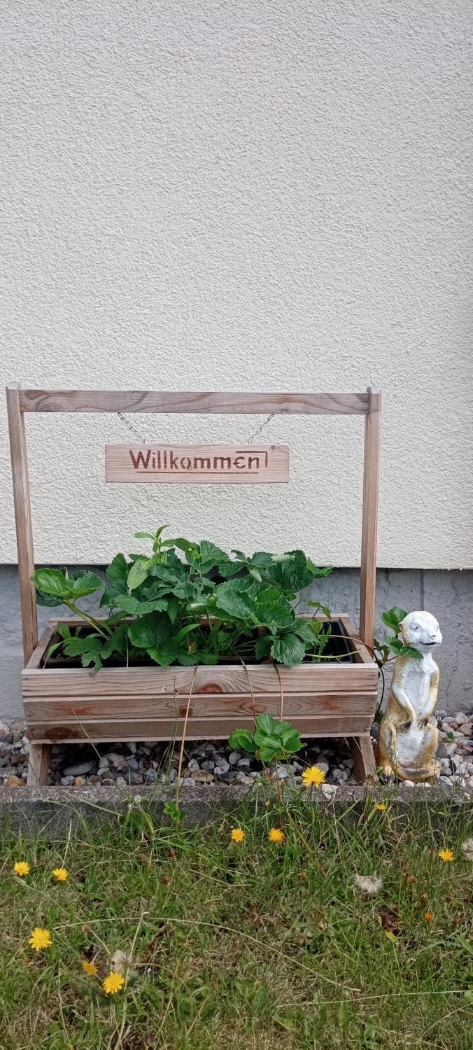Ferienwohnung Waldblick in Frauenstein Apartment in Saxony