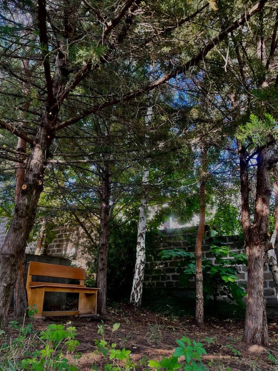 Natural landscape, Garden, Garden view