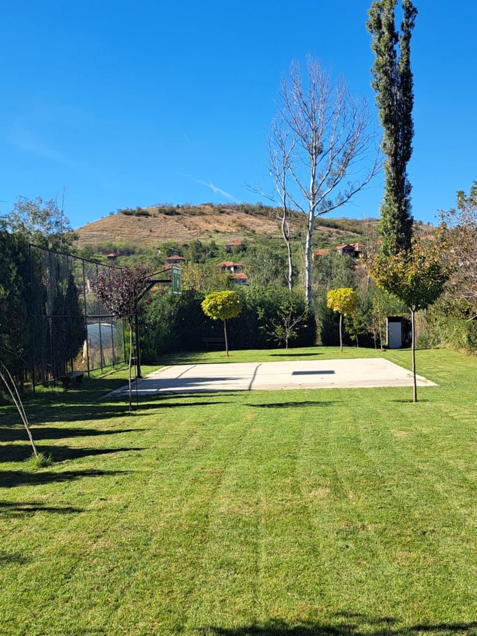 Day, Natural landscape, Garden view