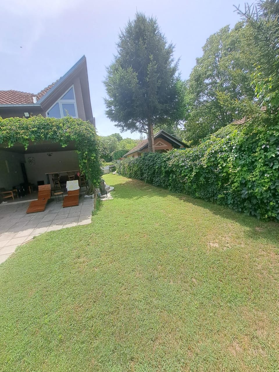 Natural landscape, sunbed