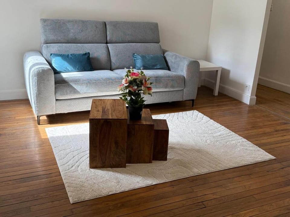Le Cocon des thermes Apartment in Nancy