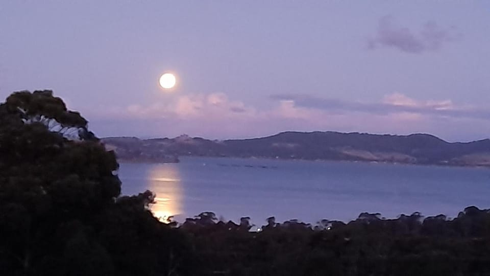 Landmark view