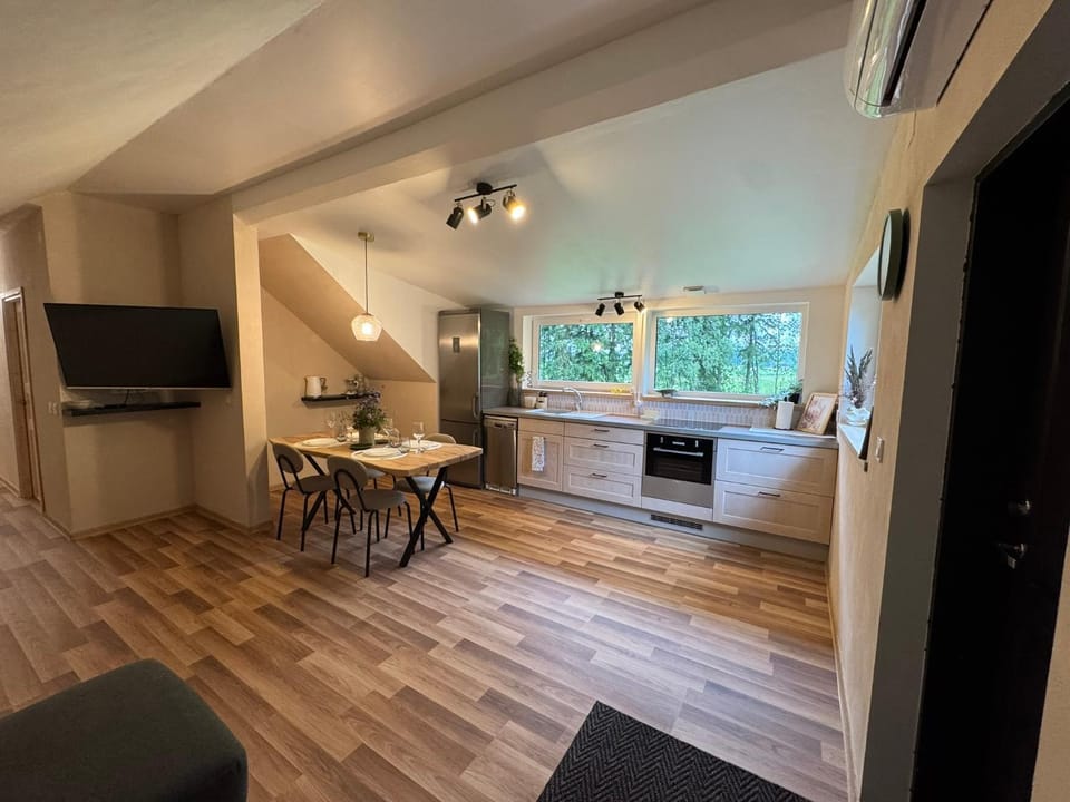 TV and multimedia, Kitchen or kitchenette, Living room, Seating area, Dining area, stove