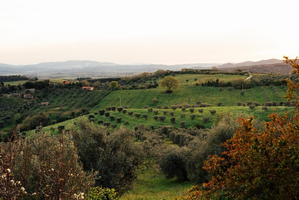 Natural landscape, View (from property/room), Mountain view