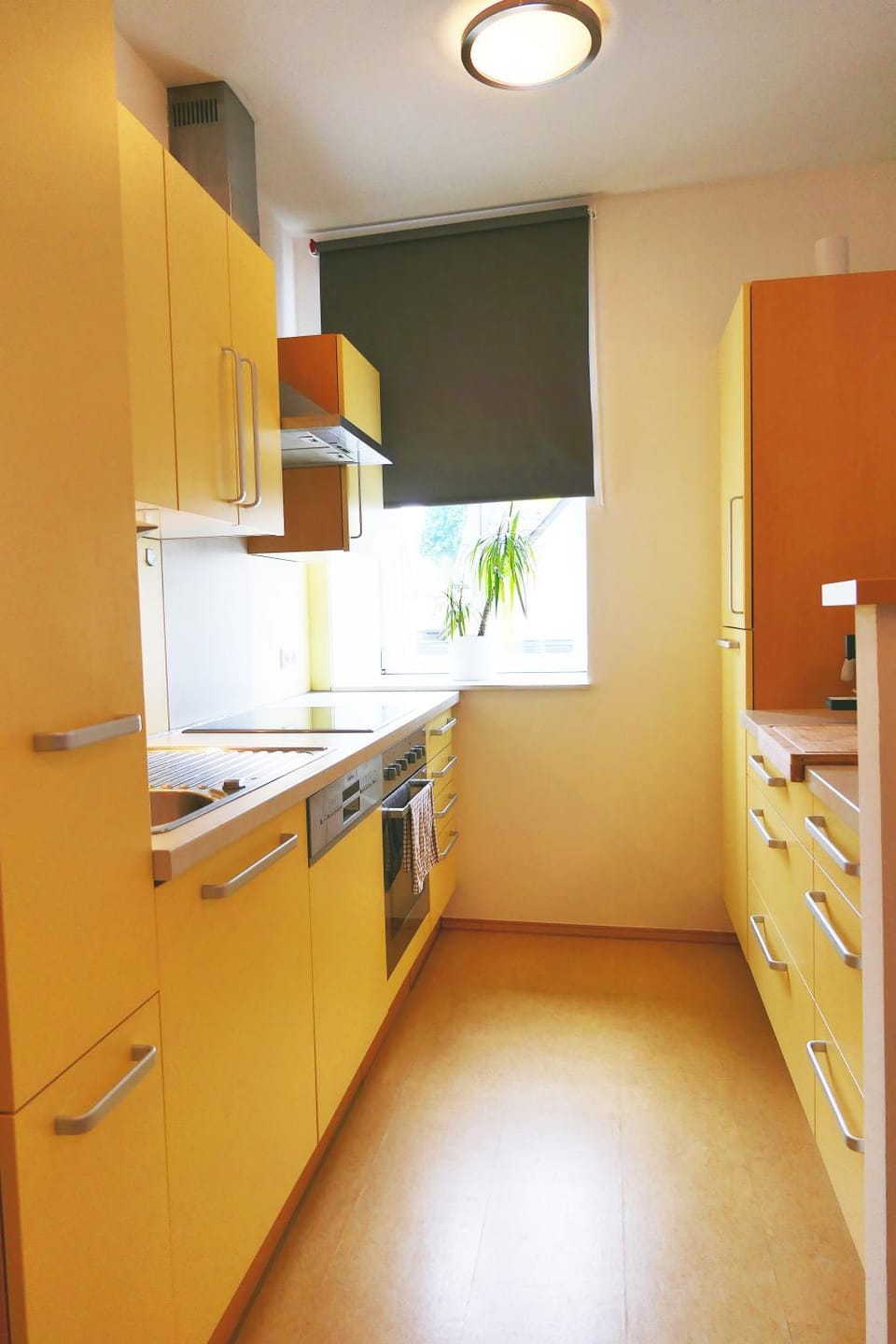 Kitchen or kitchenette, dishwasher, stove