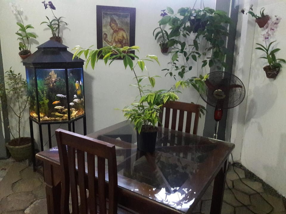 Aayu's Guest Bed and Breakfast in Western Province