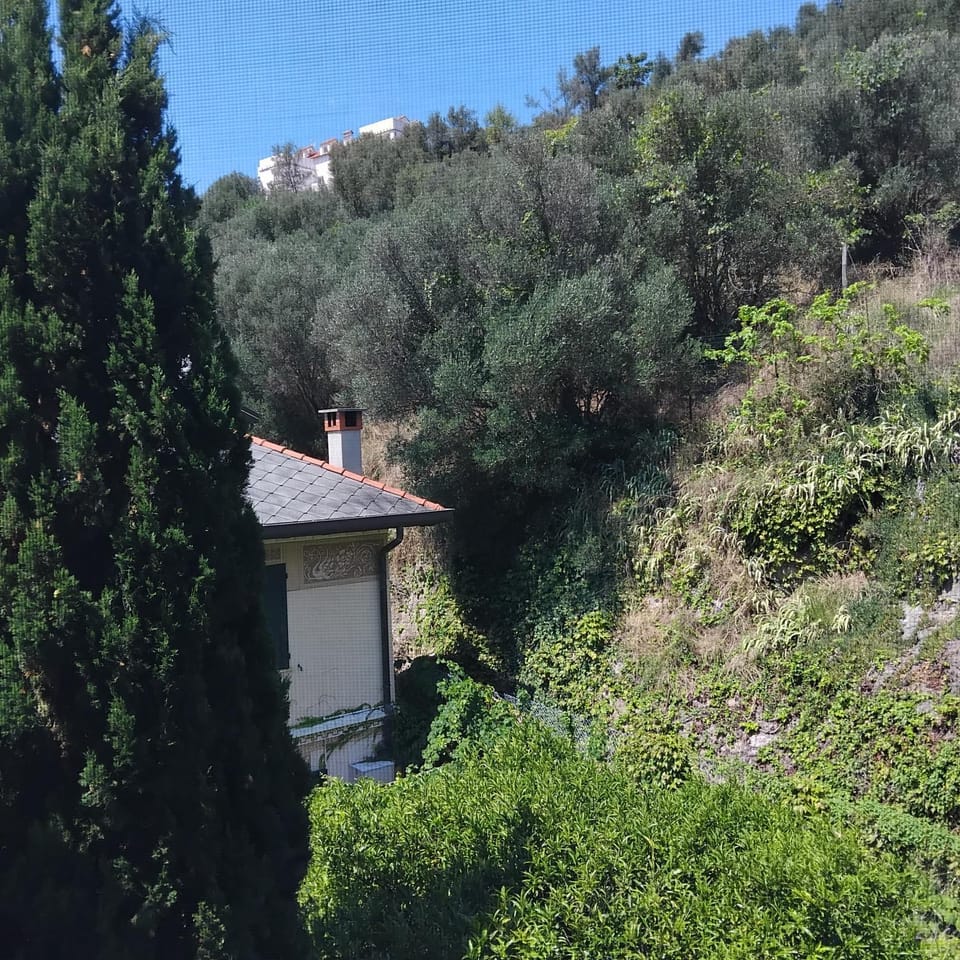 Natural landscape, Garden view