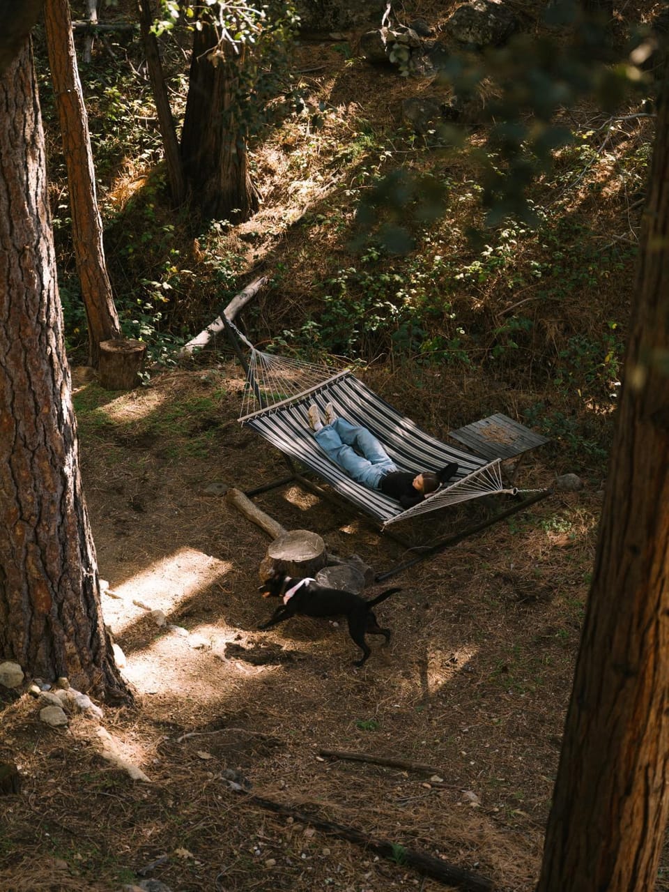 Idyllbrook Brookside Gazebo Fenced Deck, EV House in Idyllwild-Pine Cove