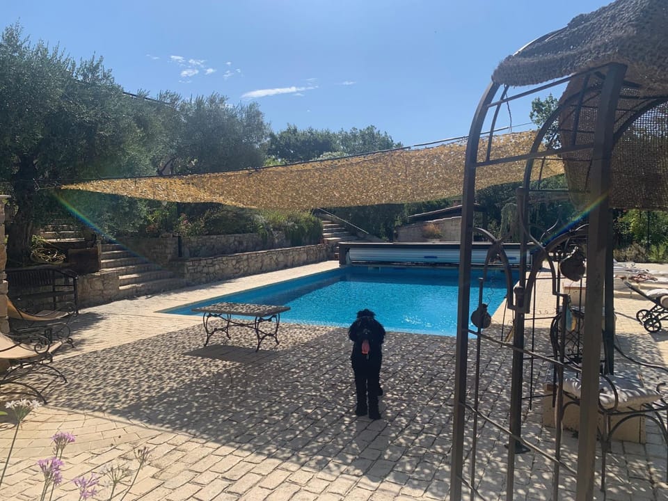 Swimming pool, sunbed