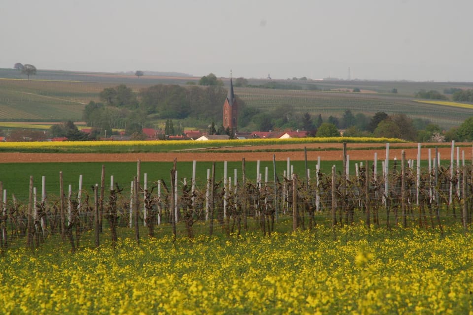 Spring, Off site, View (from property/room)