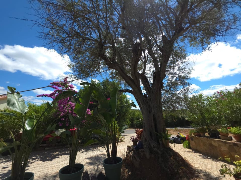 Cantinho no Barrocal T1 House in Faro District