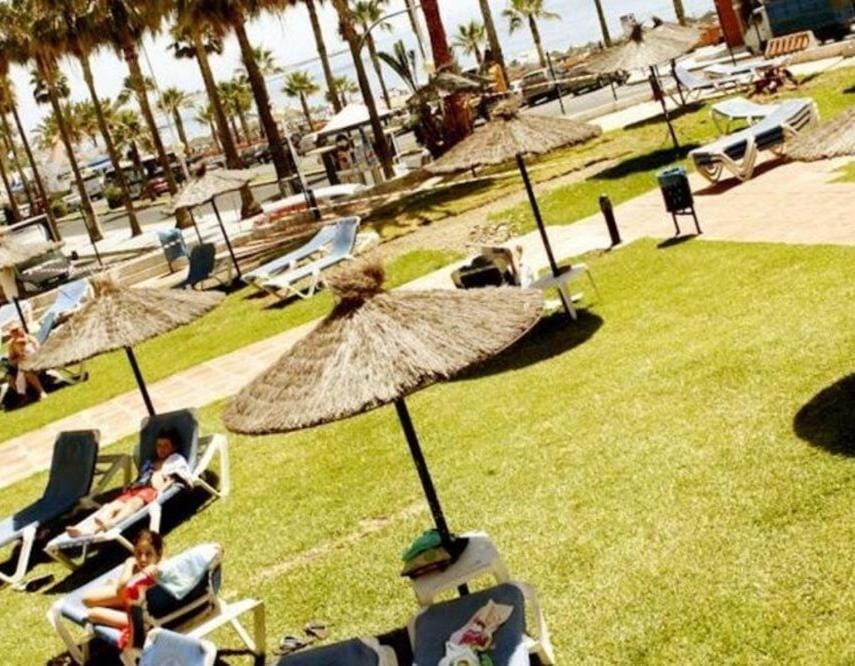 Garden, Swimming pool, sunbed