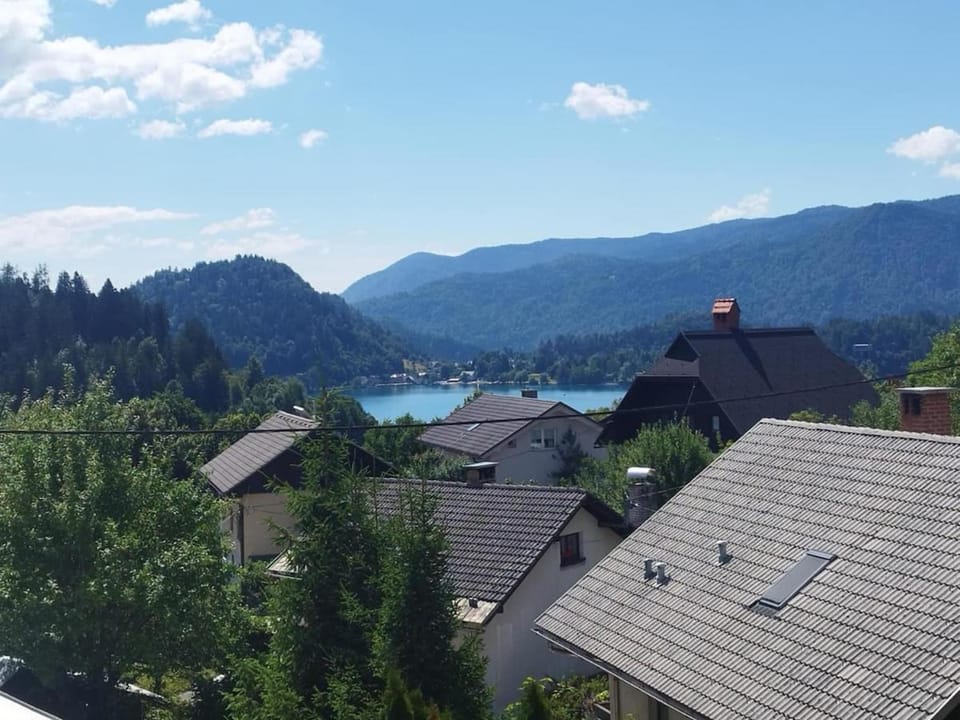 Lake view