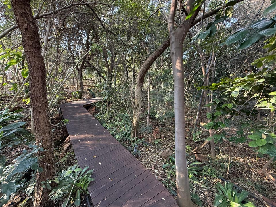 Natural landscape, Garden, Garden, Hiking, Garden view