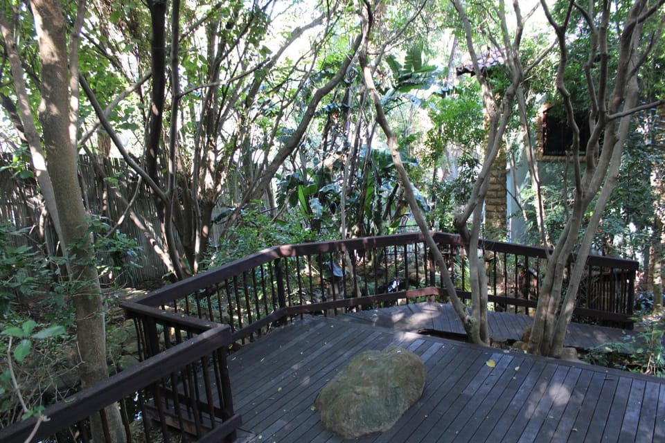 Natural landscape, Garden, Garden, Garden view