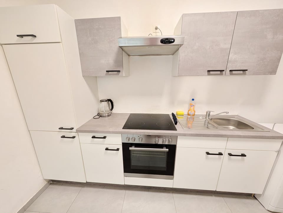 Charming Stay - Close to Vienna Attractions MZ18 Apartment in Vienna
