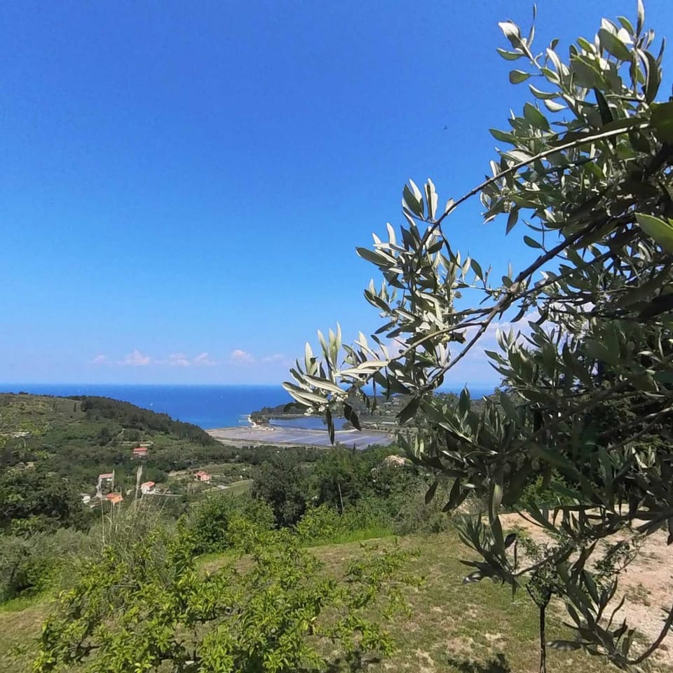 ForRest Garden - Where Nature Meets Comfort Campground/ 
RV Resort in Istria County