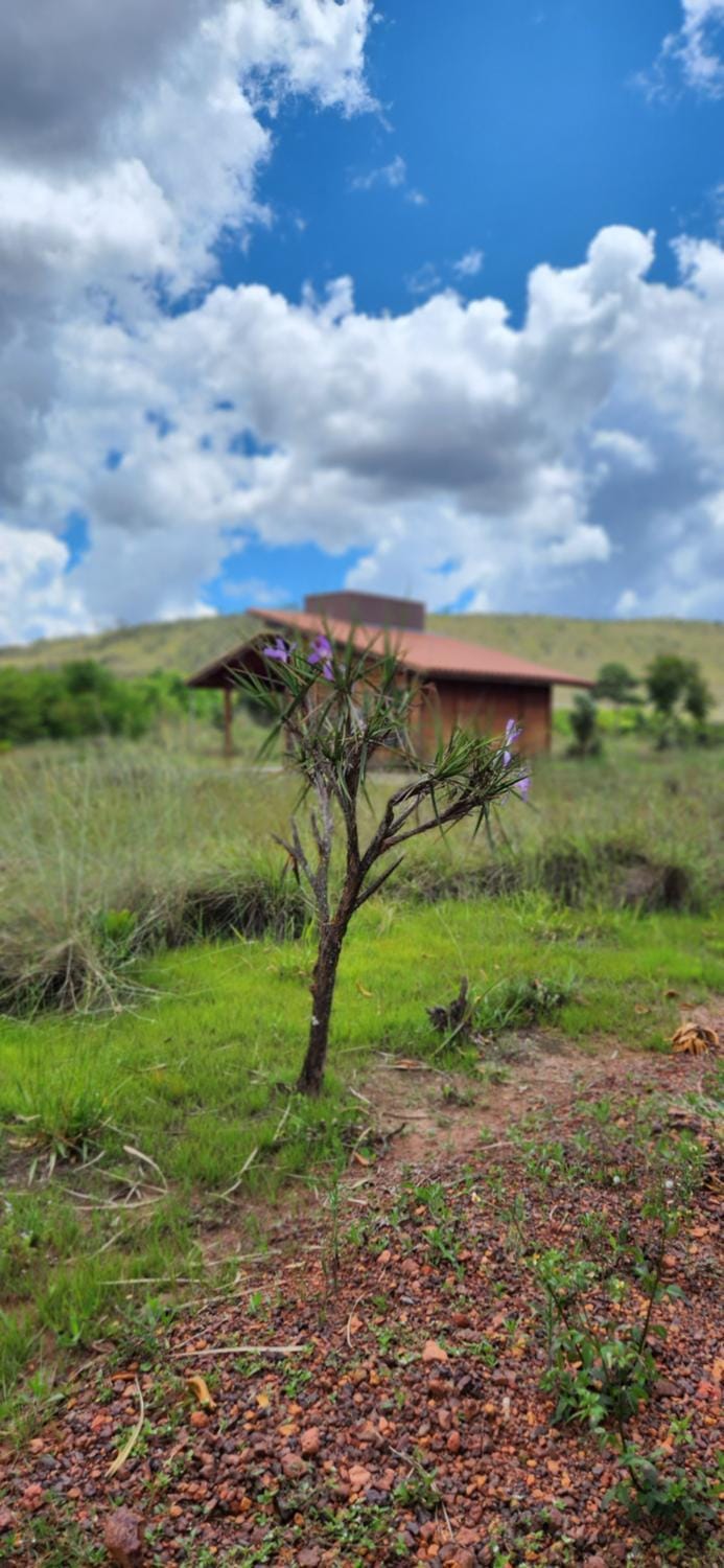Spring, Natural landscape