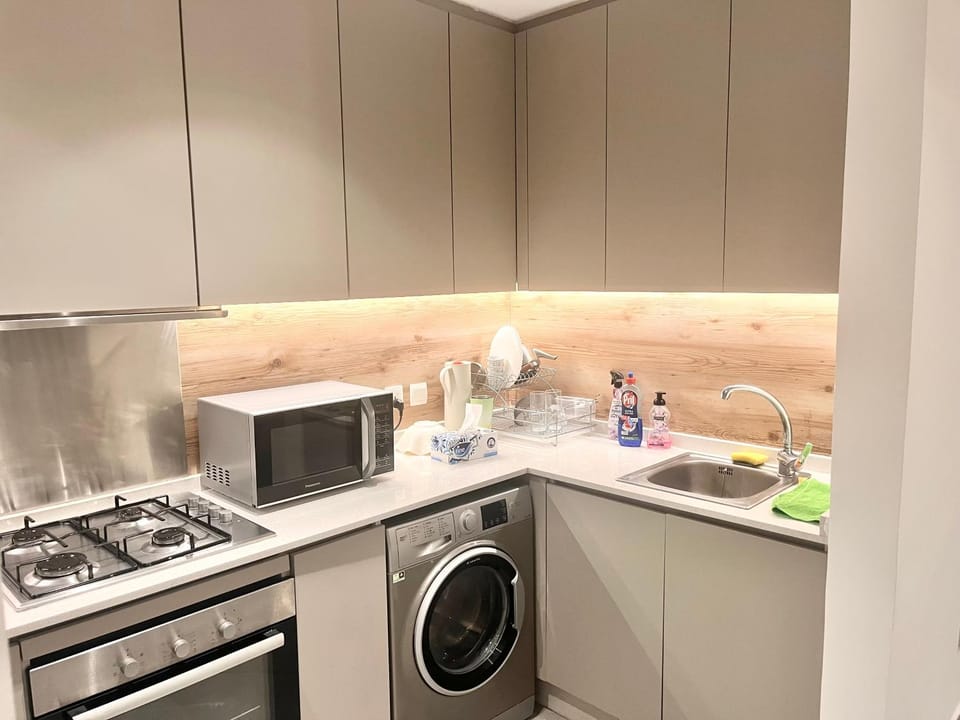 Kitchen or kitchenette, oven, stove, washing machine