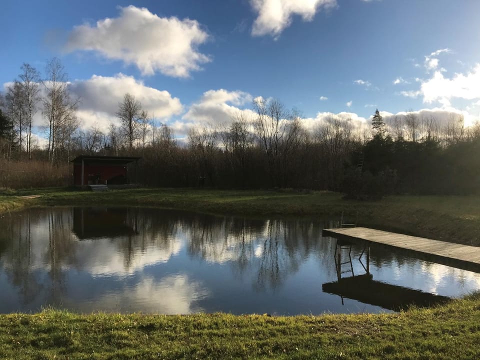Spring, Natural landscape, Lake view