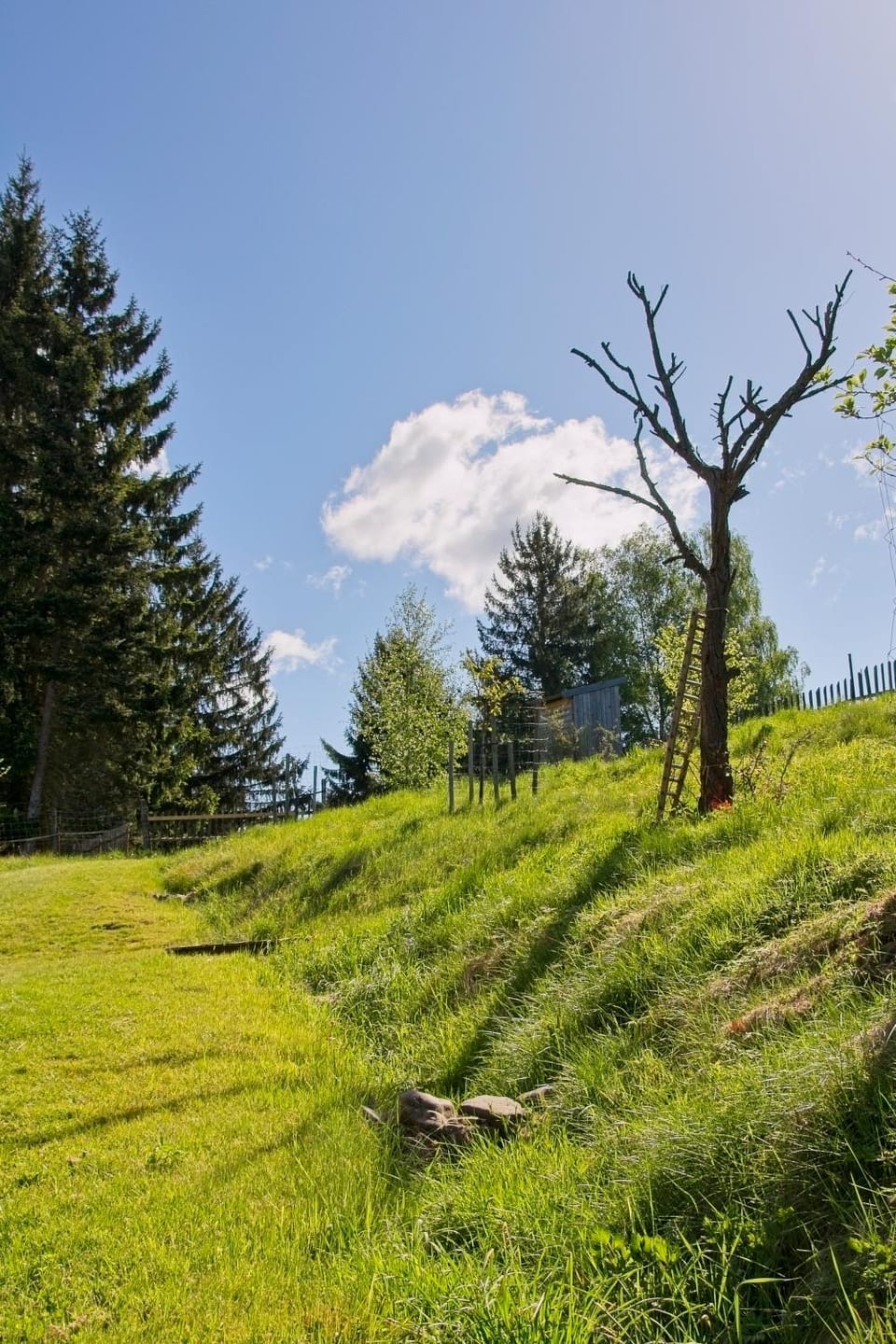 Garden view