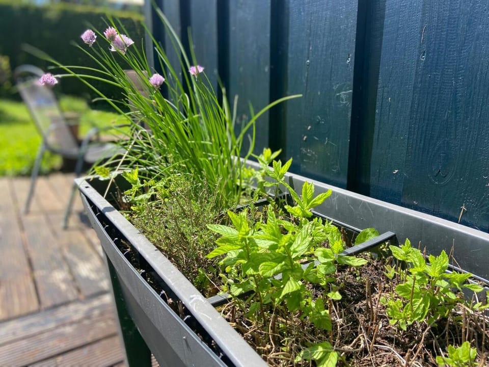Spring, Garden, Garden view