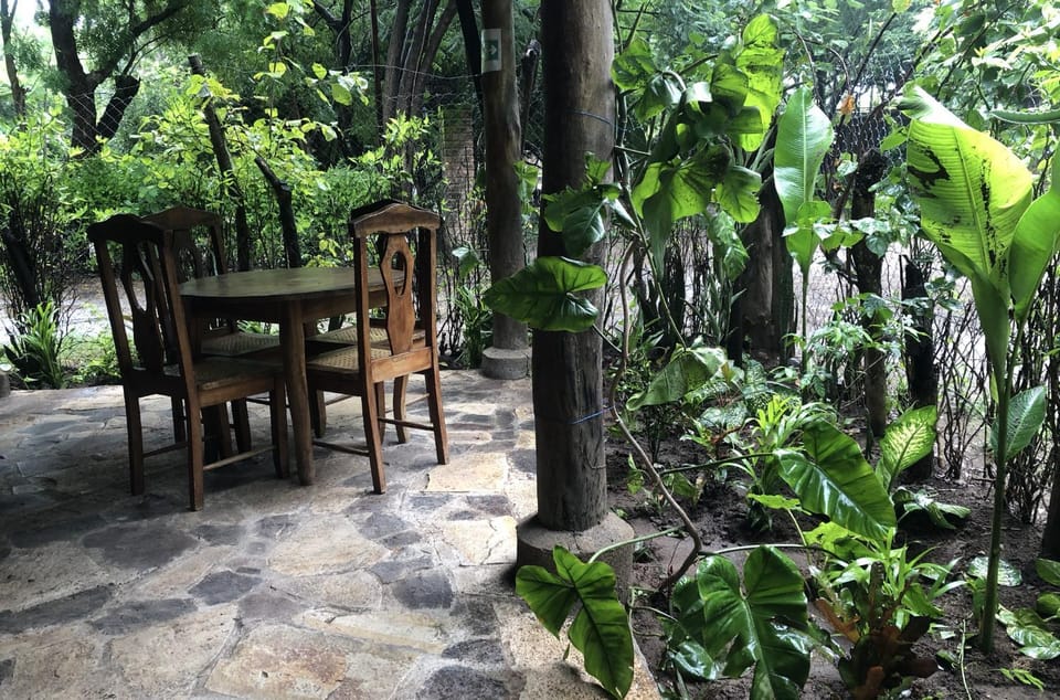 Garden, Dining area