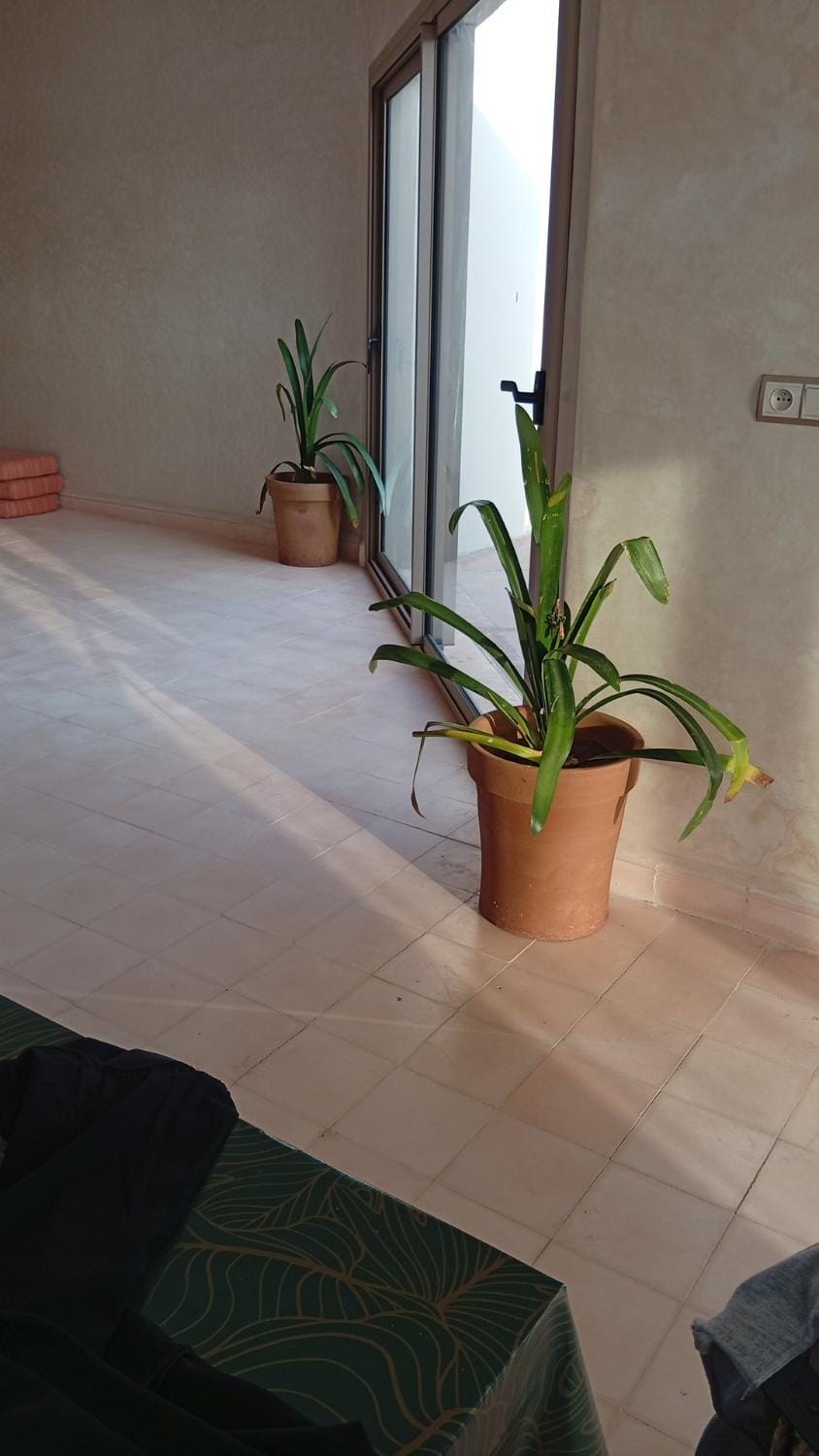 Villa Khadija Villa in Marrakesh-Safi