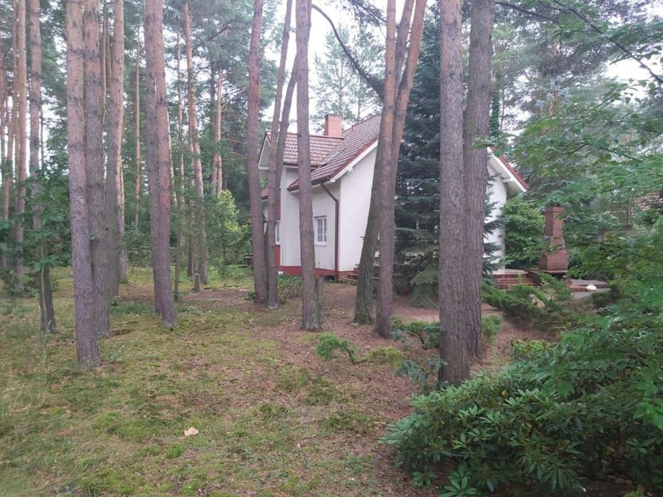 Tuczno Dom w lesie House in Greater Poland Voivodeship