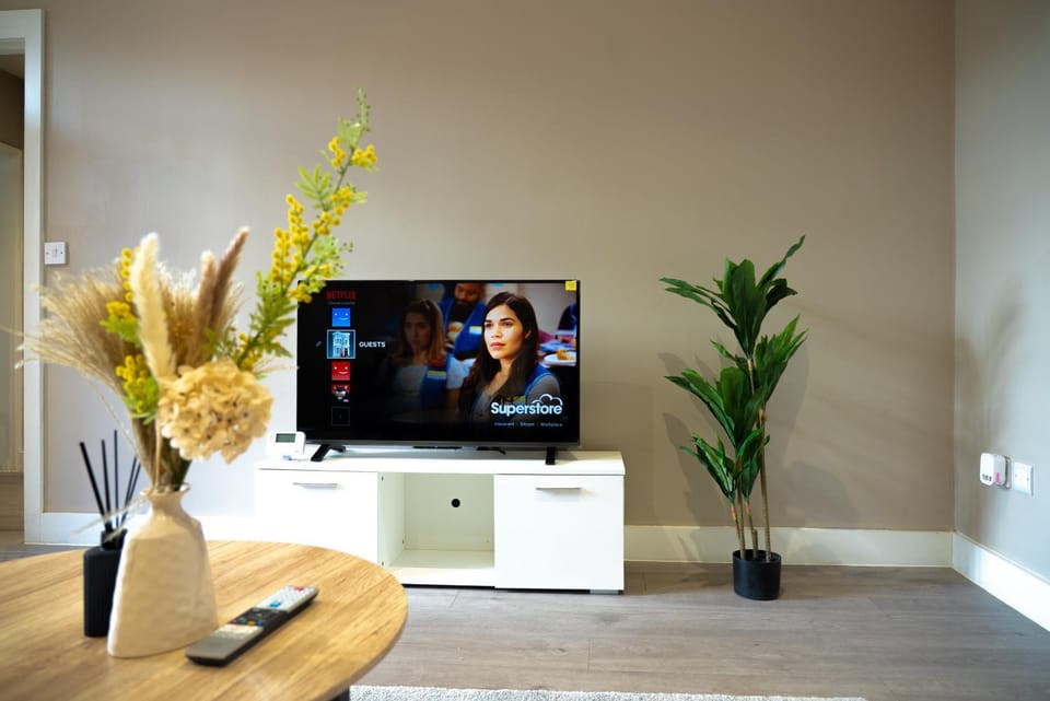 TV and multimedia