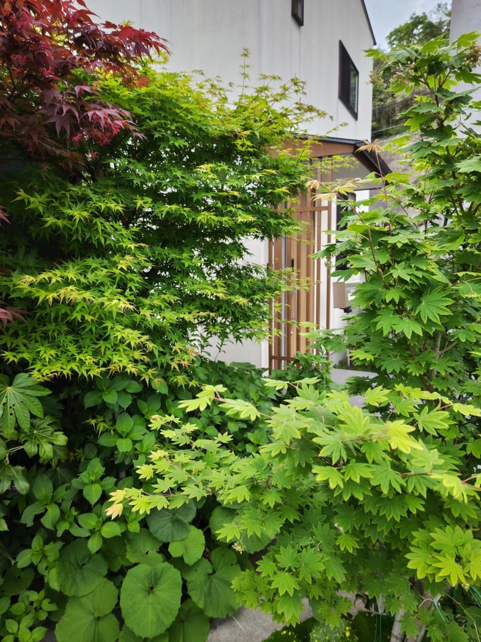 Property building, Garden, Garden view