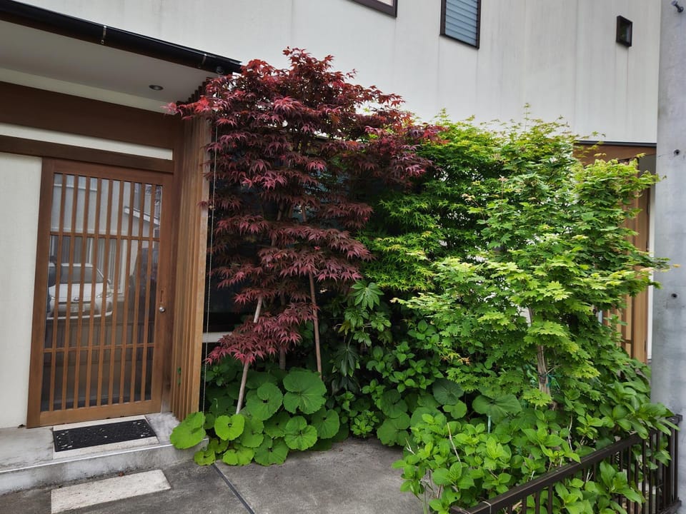 Property building, Garden