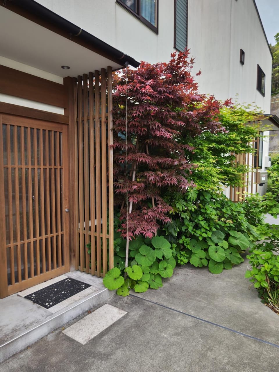 Property building, Garden